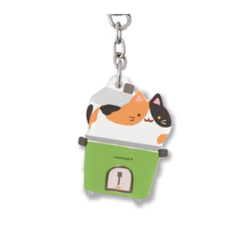 Handy Little Mirror/Mini Mirror Key Chain |