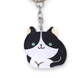 Handy Little Mirror/Mini Mirror Key Chain |