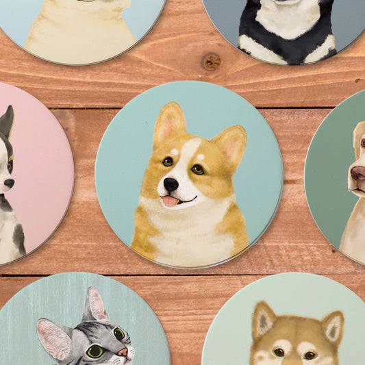Pet Friendly City Series Absorbent Ceramic Coasters