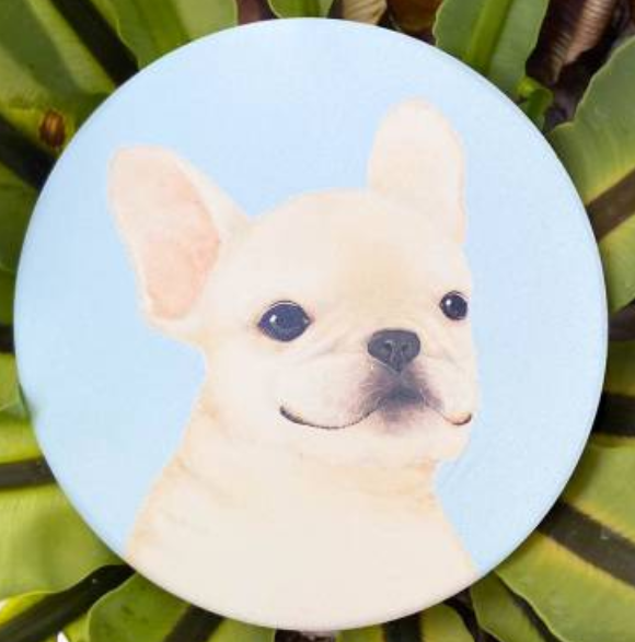 Pet Friendly City Series Absorbent Ceramic Coasters