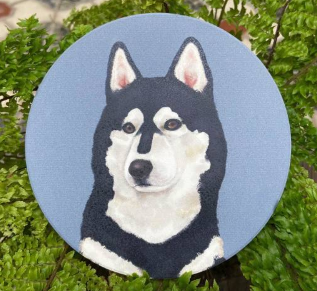 Pet Friendly City Series Absorbent Ceramic Coasters