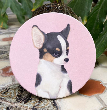Pet Friendly City Series Absorbent Ceramic Coasters