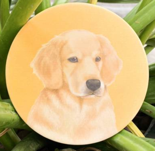 Pet Friendly City Series Absorbent Ceramic Coasters