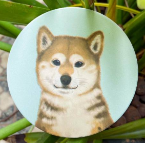 Pet Friendly City Series Absorbent Ceramic Coasters