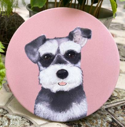 Pet Friendly City Series Absorbent Ceramic Coasters