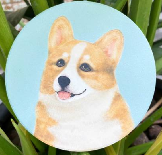 Pet Friendly City Series Absorbent Ceramic Coasters