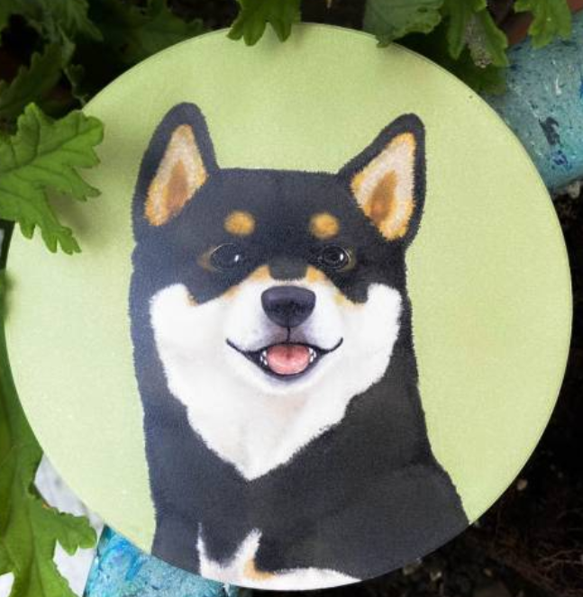 Pet Friendly City Series Absorbent Ceramic Coasters