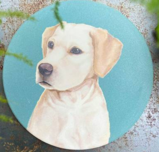 Pet Friendly City Series Absorbent Ceramic Coasters