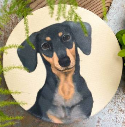 Pet Friendly City Series Absorbent Ceramic Coasters